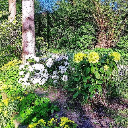 5 Person In * Миддельфарт