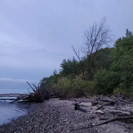 5 Person In Миддельфарт